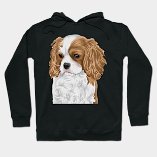 Pet 32 Hoodie